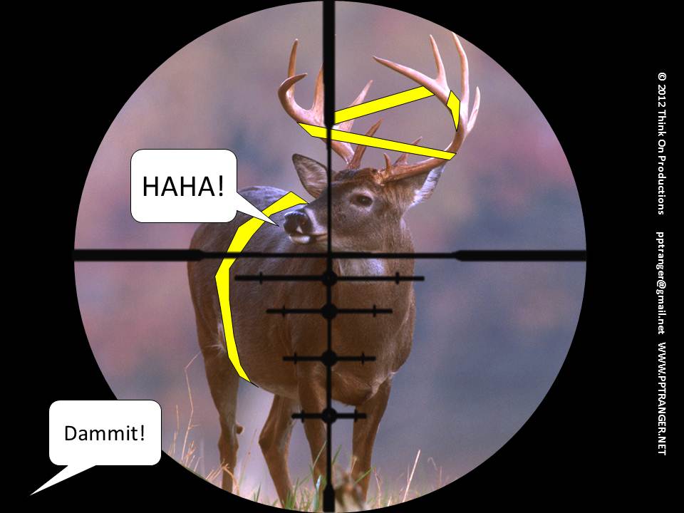 Open Season